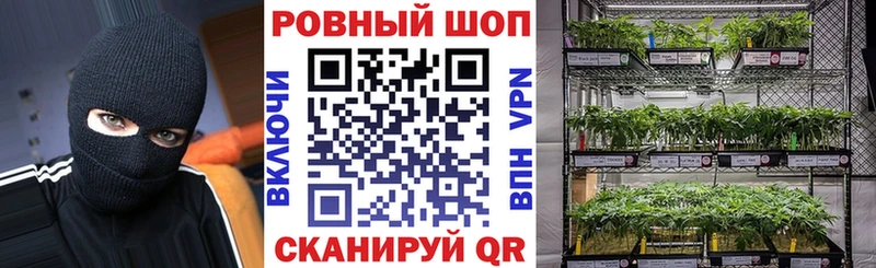 Где продают наркотики Губкин МАРИХУАНА Псилоцибиновые грибы БУТИРАТ Alpha PVP МЕФ КОКАИН Гашиш