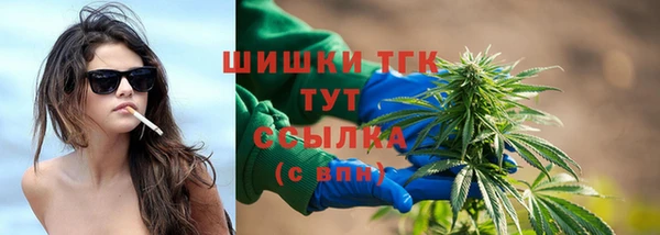 PSILOCYBIN Бронницы