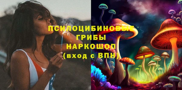 гидропоника Богородицк