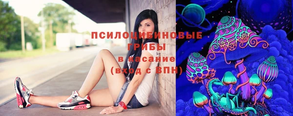 гидропоника Богородицк