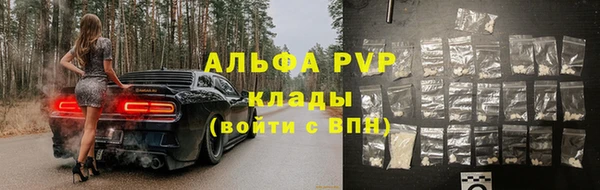 PSILOCYBIN Бронницы