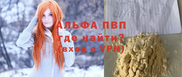 PSILOCYBIN Бронницы