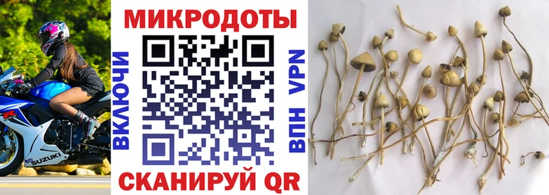 Псилоцибиновые грибы GOLDEN TEACHER  сколько стоит  сайты даркнета официальный сайт  Губкин 